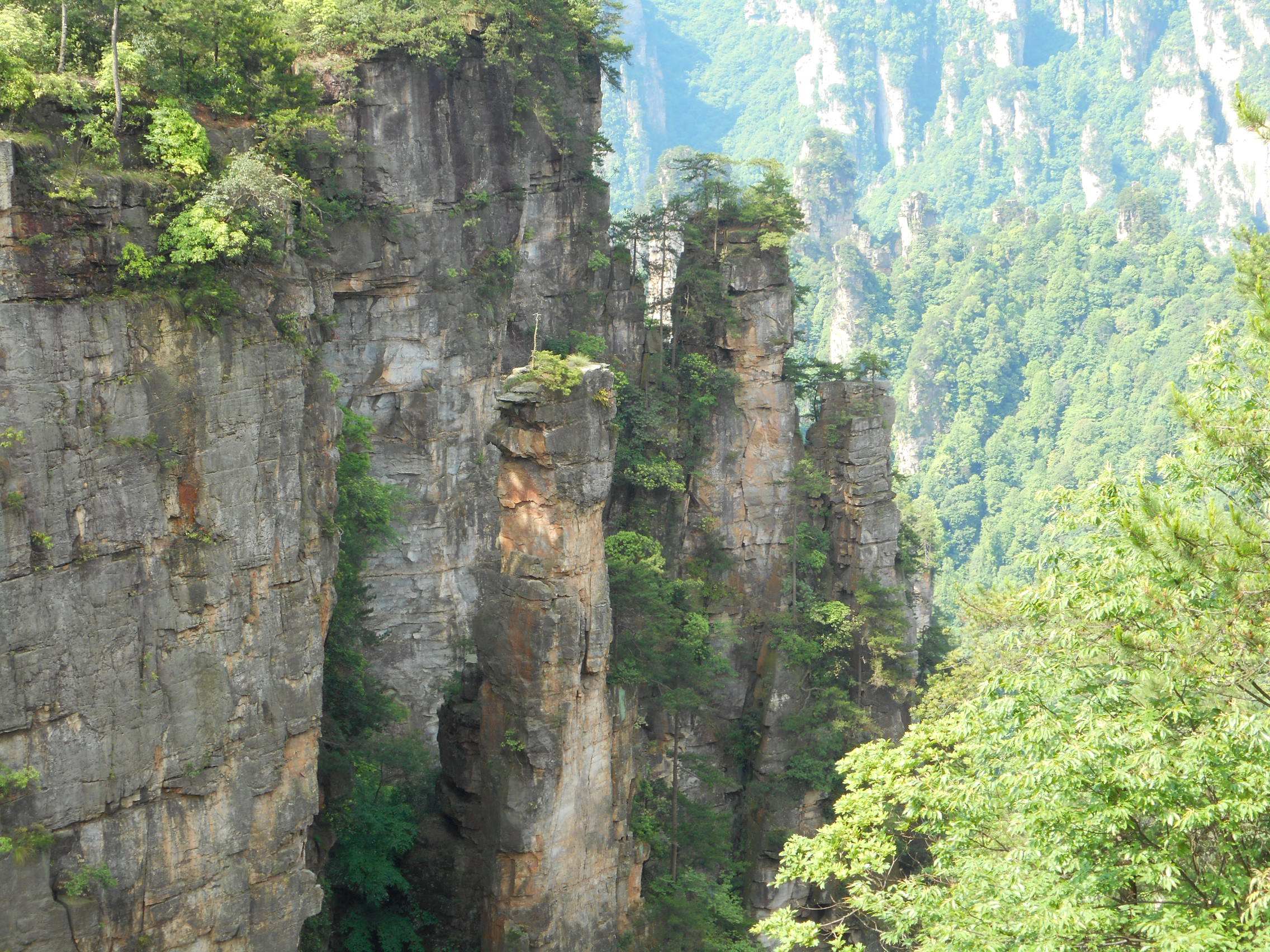 张家界旅游景点推荐（张家界值得去的8个著名景点） 第11张