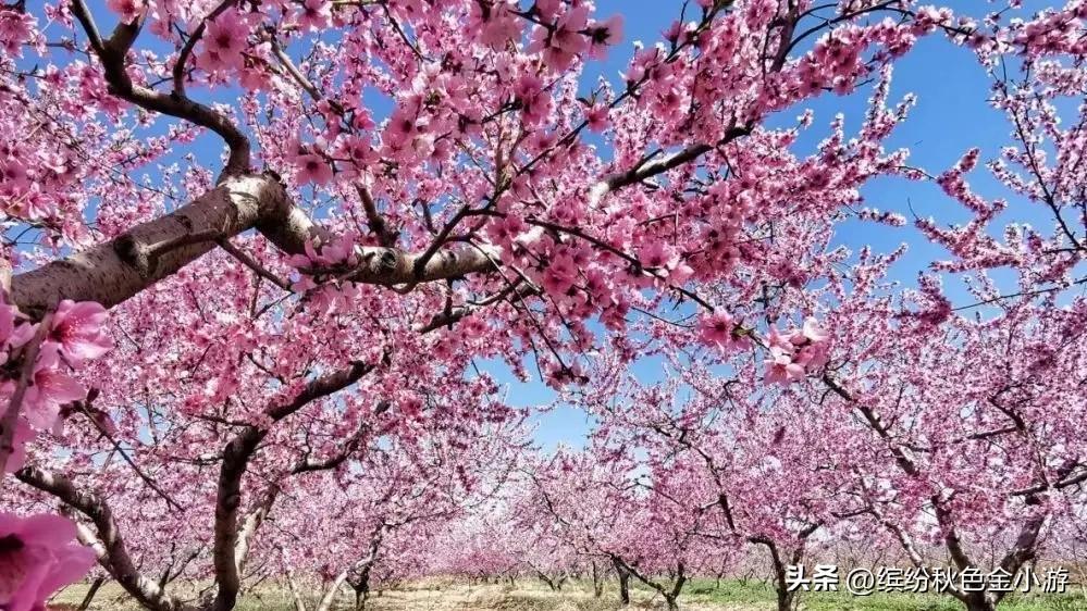 北京平谷旅游景点排名（平谷必去的景点推荐） 第31张