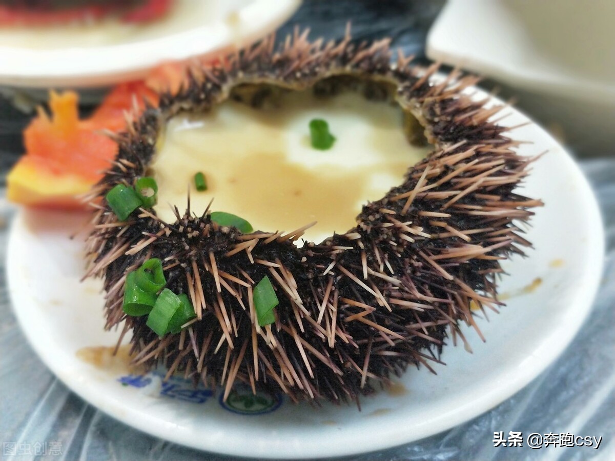 海胆做法收集全了，海胆的16种家常做法，好吃又好做 第21张
