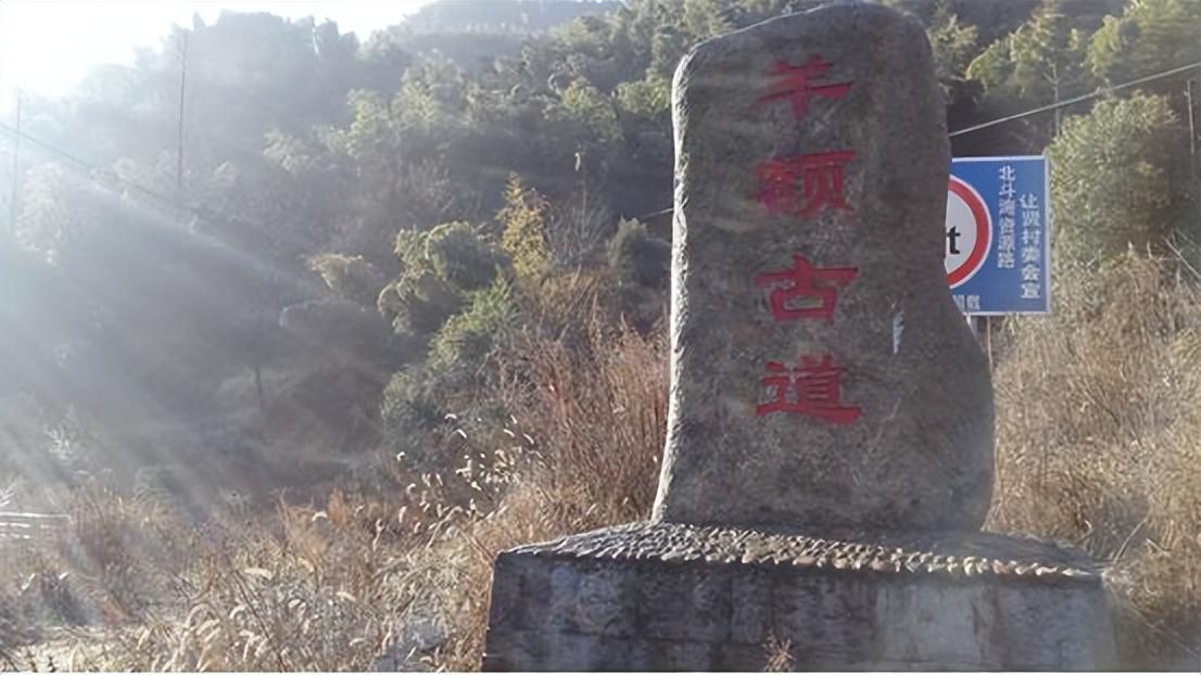 余姚旅游景点有什么（余姚10条风景优美的古道推荐） 第21张