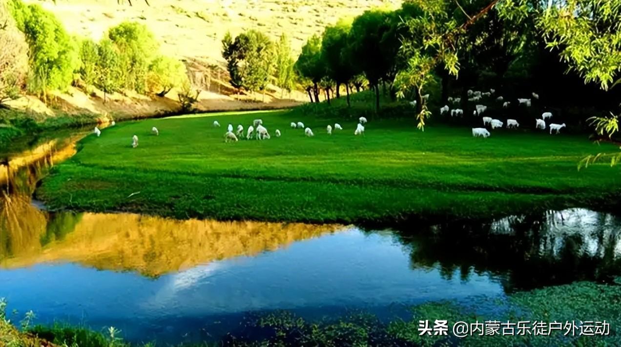 鄂尔多斯旅游景点大全（鄂尔多斯值得一去的八大景点） 第11张