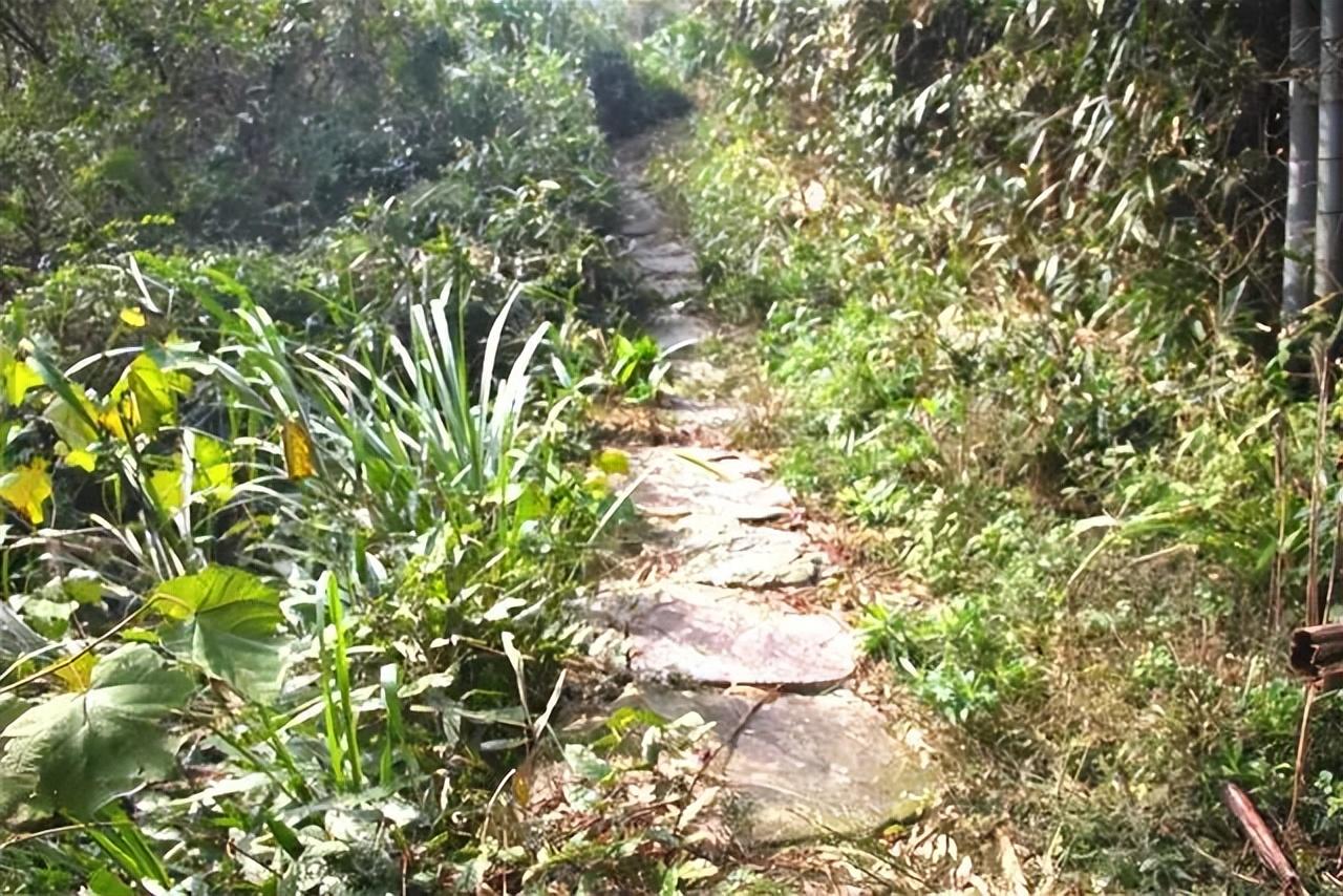余姚旅游景点有什么（余姚10条风景优美的古道推荐） 第9张
