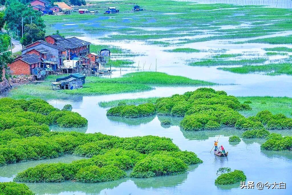 霞浦旅游八大景点介绍（霞浦八大网红打卡地） 第15张