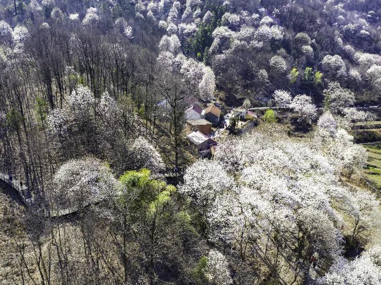 六安旅游景点哪里好玩 六安值得去的十大景点推荐 第17张