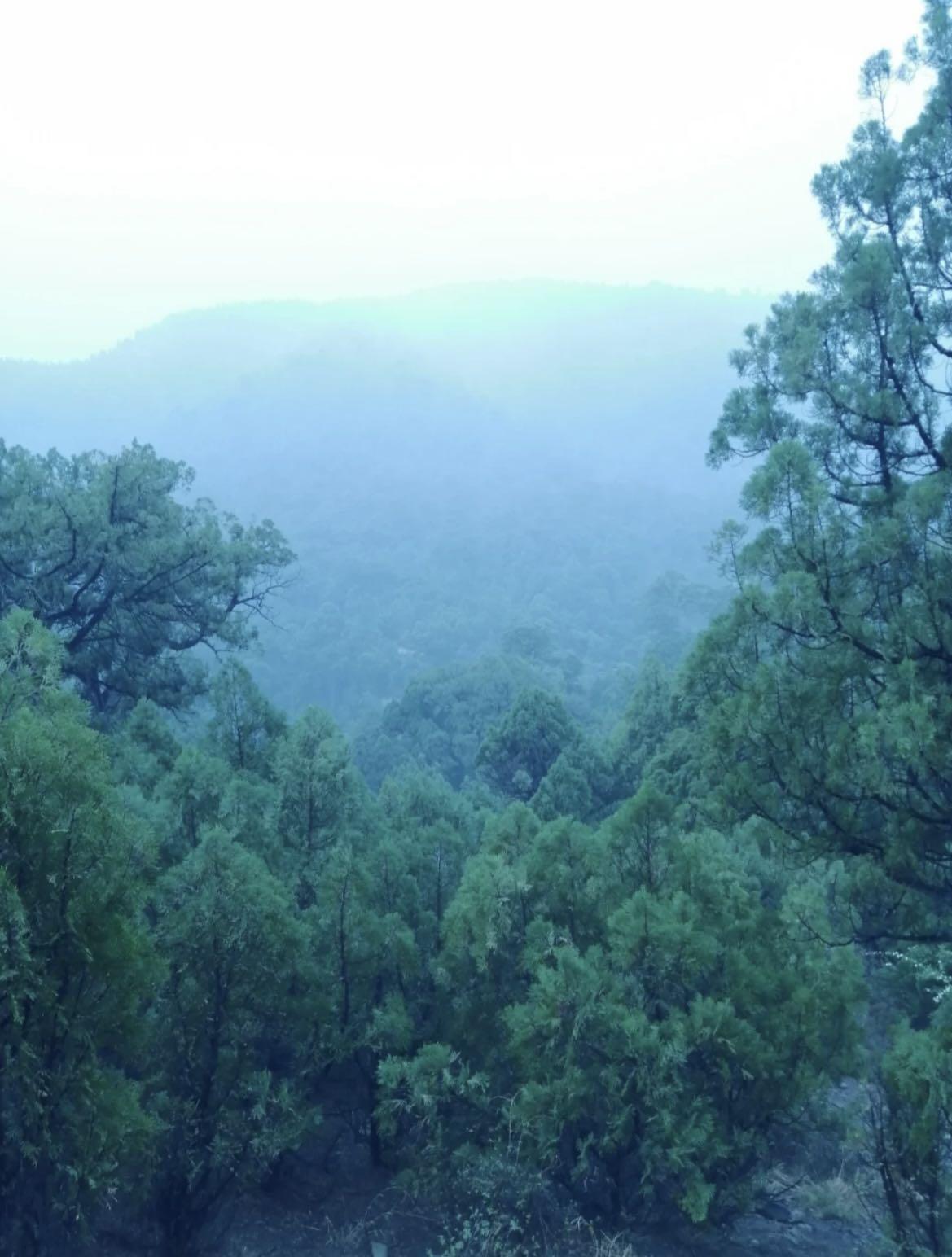 山西游玩值得打卡的10座大山 山西旅游必去十大景点 第11张