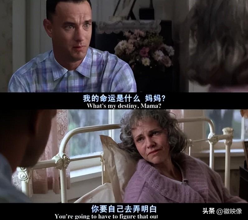 评分9.0以上的经典电影推荐 好看的外国电影排行榜前十名 第3张