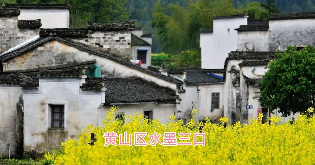 安徽有哪些好玩的地方旅游景点（安徽12个免费小众景点） 第23张