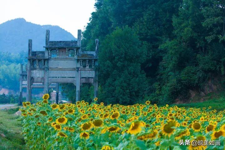安徽旅游必去十大景点 9月安徽最值得去的10个地方 第7张