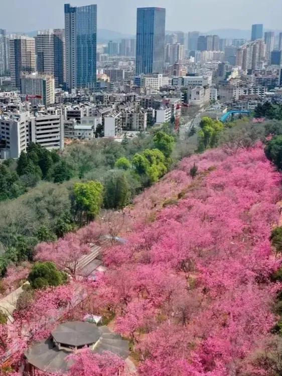 昆明十大爬山景点 昆明市区爬山必去景点 第11张