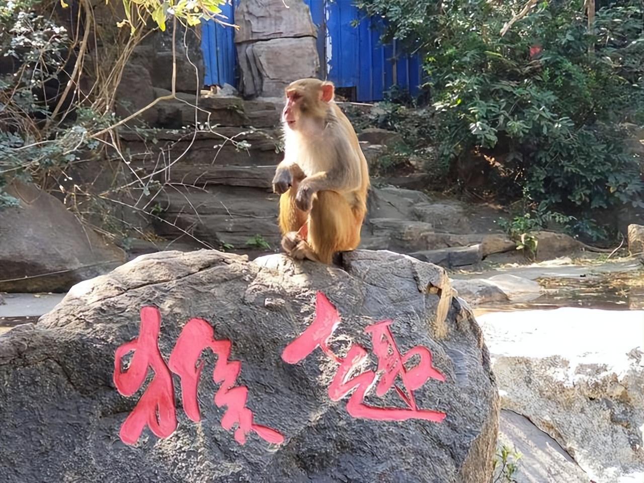 海南旅游攻略自由行（海南岛游玩最值得去的19个景点） 第33张