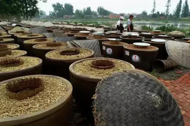 国产十大放心酱油品牌 中国酱油排名前十 第21张