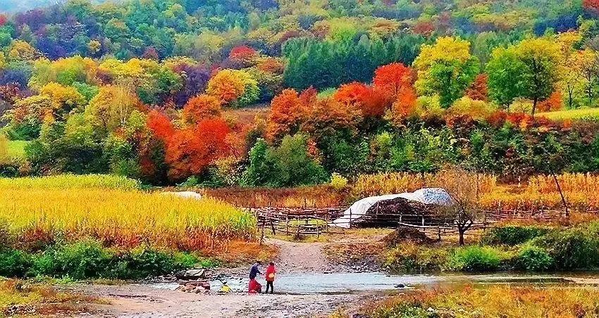 吉林旅游必去十大景点（吉林适合秋季游玩的景点推荐） 第3张