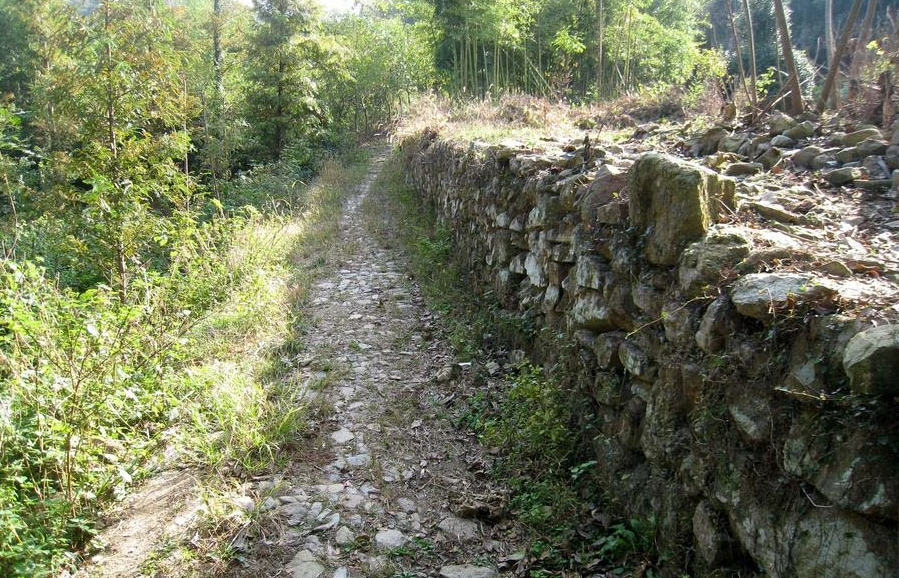 余姚旅游景点有什么（余姚10条风景优美的古道推荐） 第17张