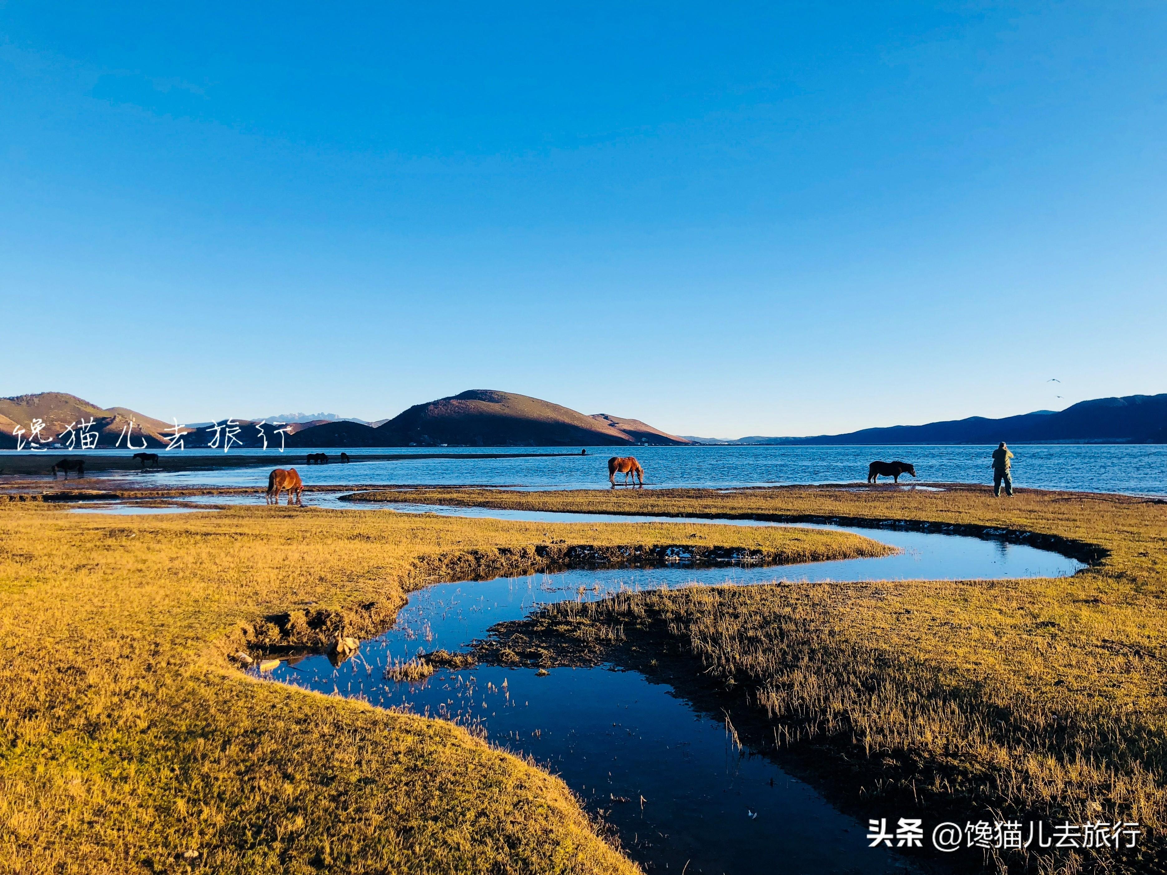 香格里拉必去5个景点 香格里拉最标志性的景色推荐 第1张
