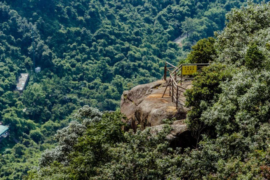 深圳旅游必去十大景点 深圳10个惊险刺激的游玩地 第3张