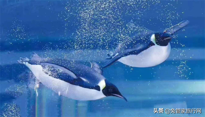 青岛旅游必去的5个景点 青岛热门景点排名推荐 第7张