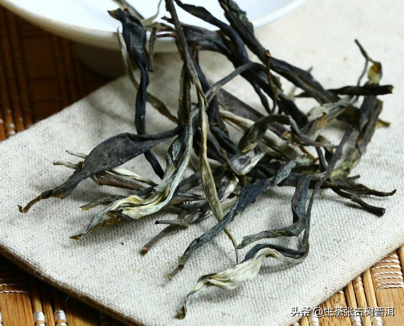 十大最古老的普洱茶树排名 云南普洱茶十大名牌 第15张