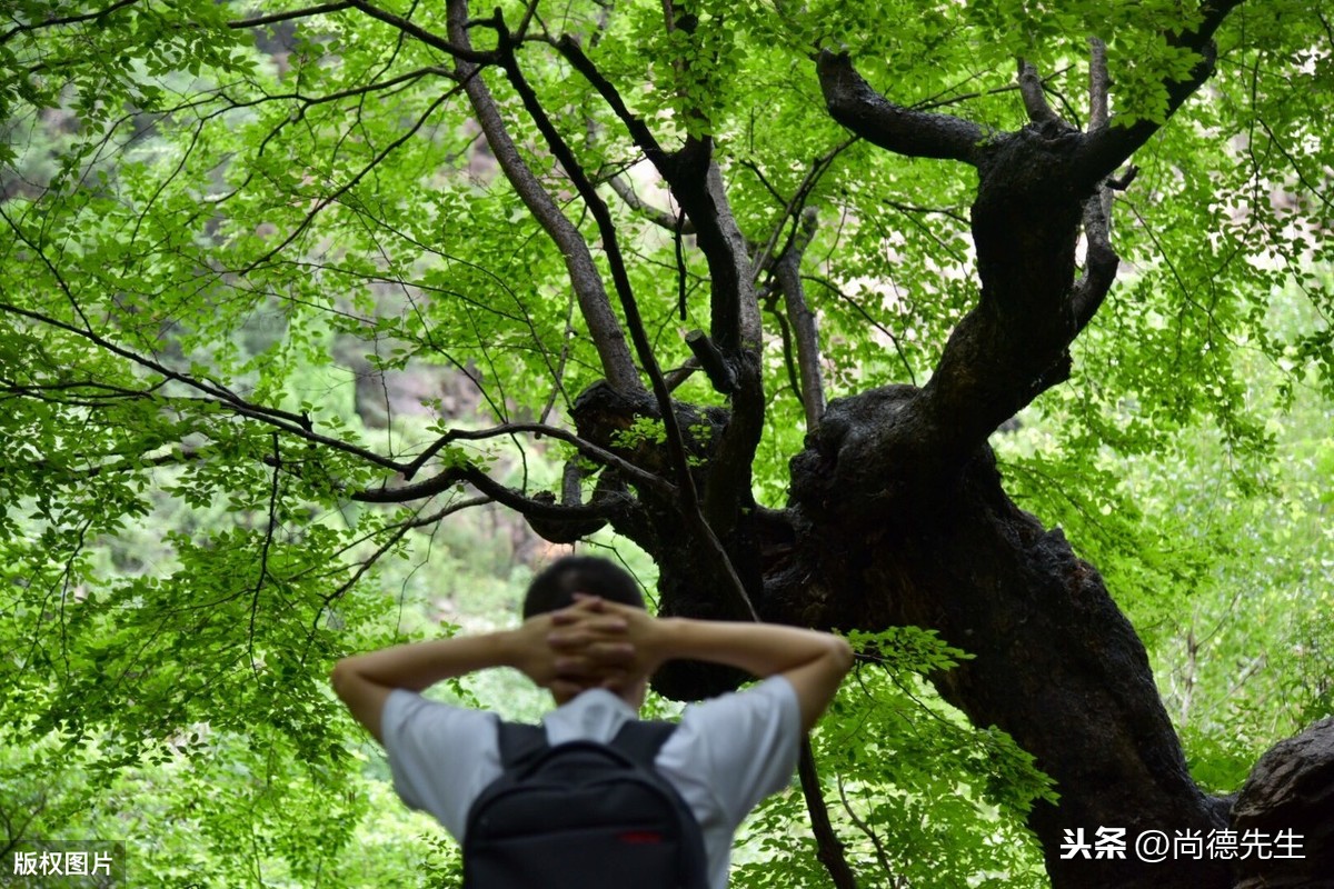 56个民族的风土人情和风俗习惯（全） 第19张