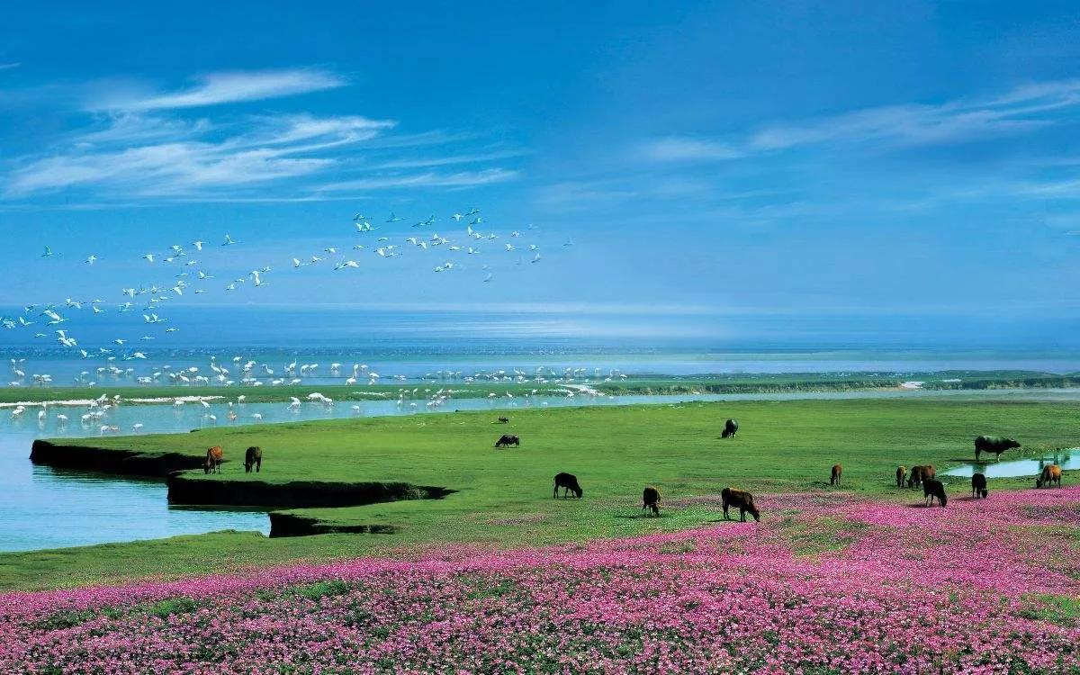 江西旅游必去十大景点 江西最值得去的十大景点推荐 第5张