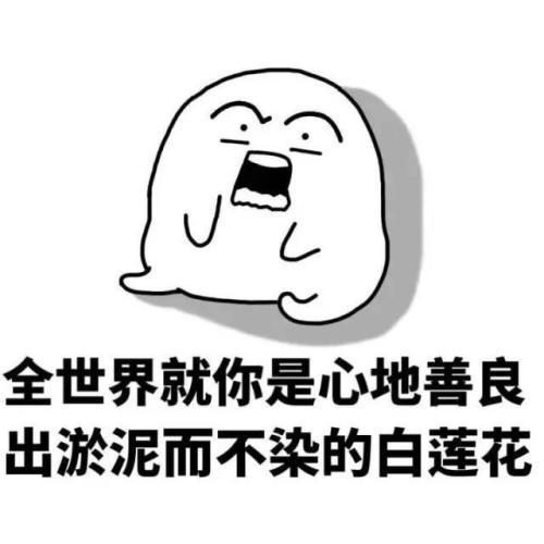 白莲花什么意思（形容白莲花女生特点） 第1张
