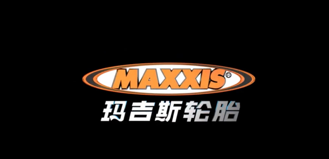 国产轮胎十大名牌排名（国内十大轮胎品牌） 第7张