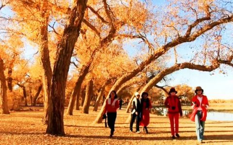 十月份最适合去哪里旅游（国庆假期必去的11个旅行地）