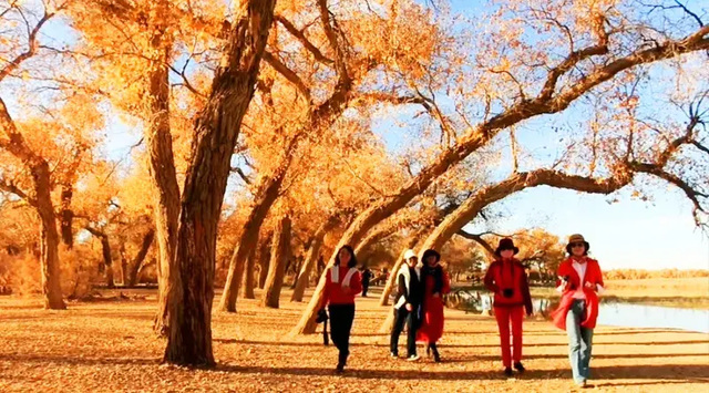 十月份最适合去哪里旅游（国庆假期必去的11个旅行地） 第1张