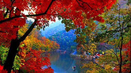 东北旅游必去十大景点（东北十大最美景点） 第19张