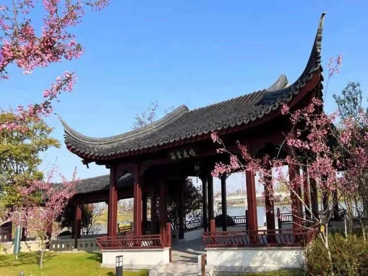 盐城旅游景点大全排名 盐城市值得推荐的九个景点 第13张