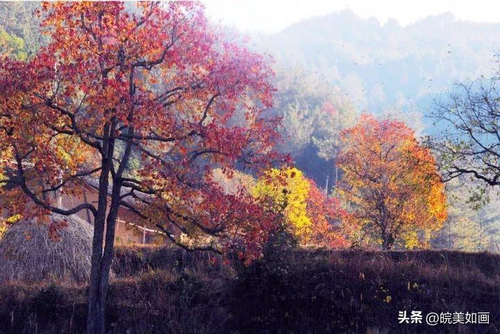 安徽旅游必去十大景点 9月安徽最值得去的10个地方 第17张