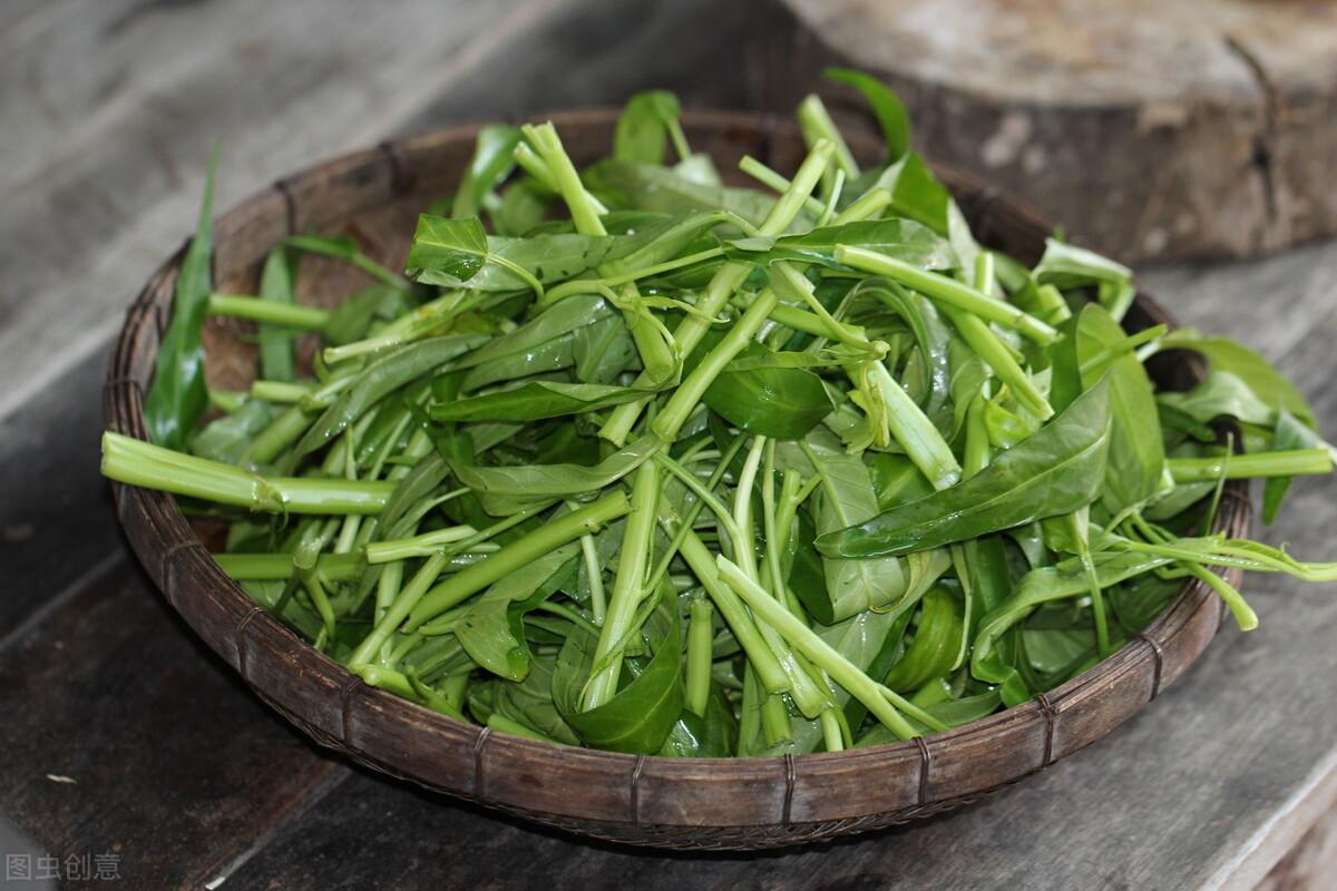 立秋后中什么蔬菜（适合立秋后种植的6种蔬菜） 第7张