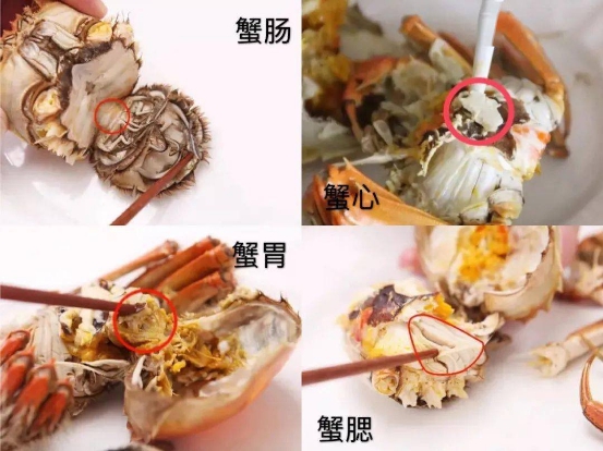 蒸大闸蟹：牢记冷水和热水蒸区别大，做错这一步，蟹黄爆开肉不鲜 第11张