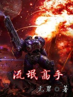 游戏小说排行榜完本前十名 好看的游戏小说排名推荐 第13张