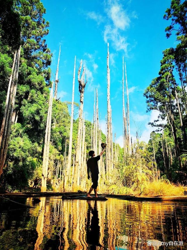 台湾旅游攻略(2022台湾十大景点旅游指南) 第11张