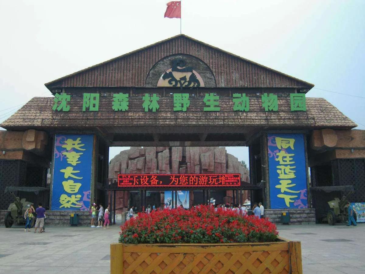 沈阳必去的十大景点（旅游最值得去的十个地方） 第1张