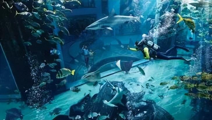海南旅游攻略自由行（海南岛游玩最值得去的19个景点） 第17张