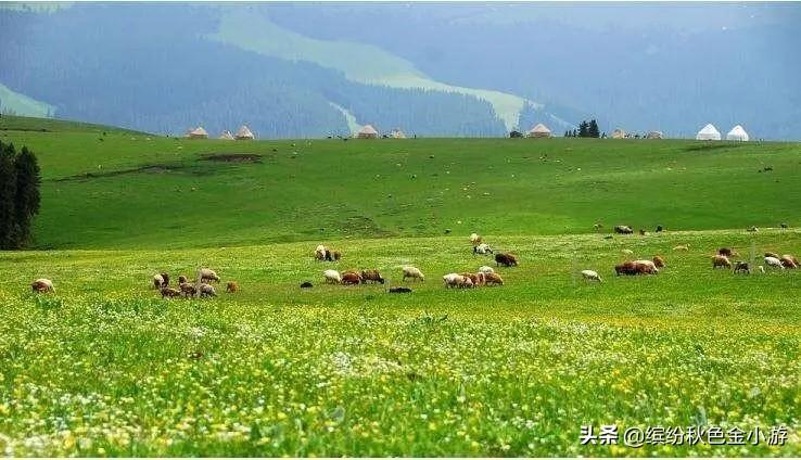 新疆旅游必去的景点排名（新疆自驾游20处美景推荐） 第3张