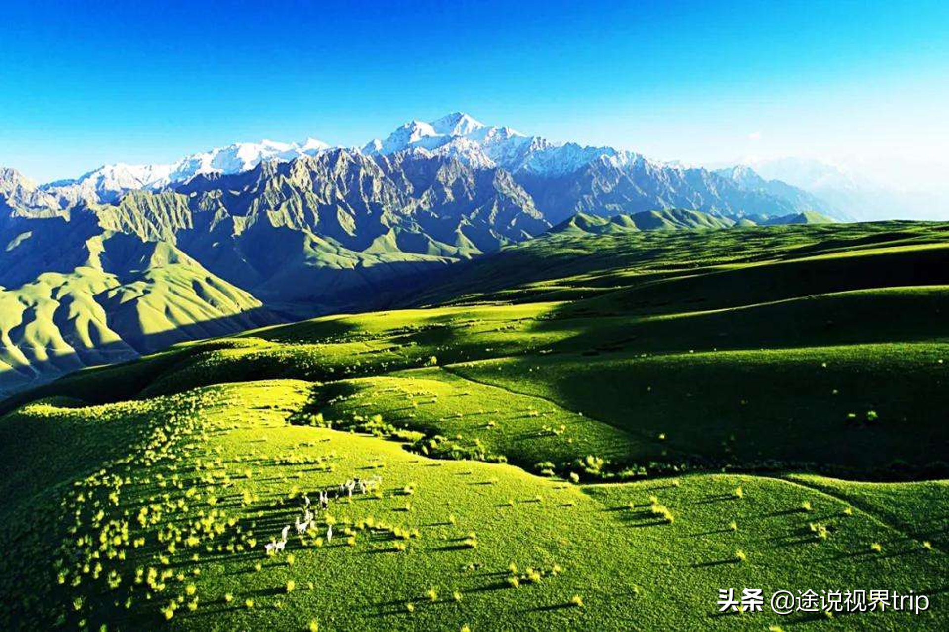中国面积最大的城市排名前十（国内十大面积最大的城市） 第1张