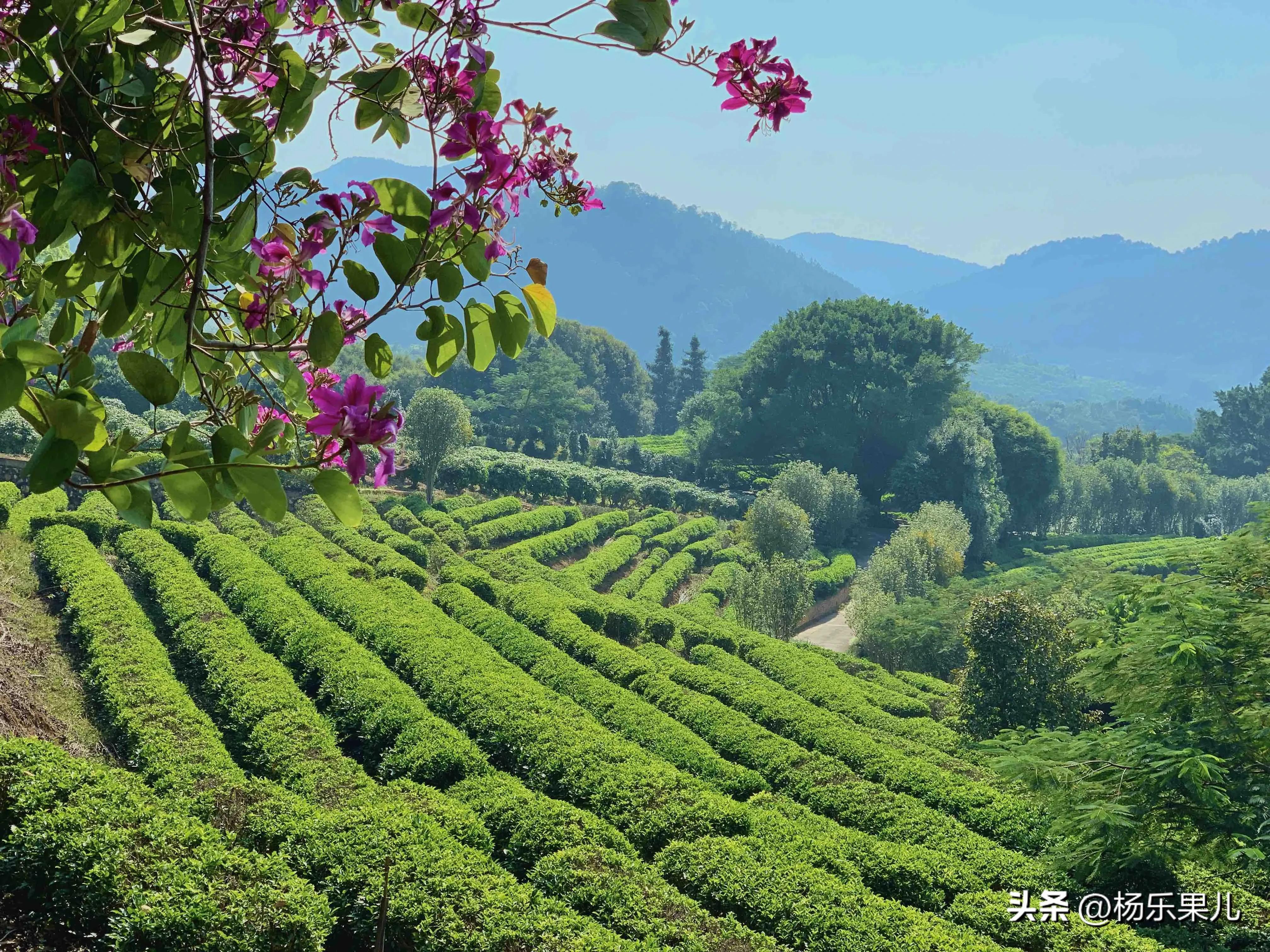 梅州旅游景点大全介绍（梅州最著名的十个景点） 第3张