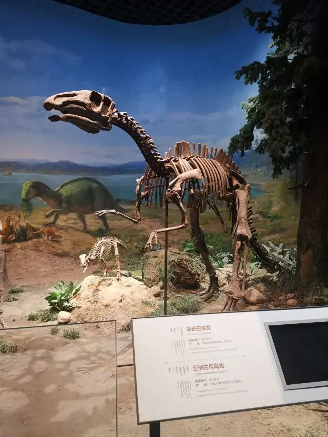 呼和浩特有什么好玩的地方（呼和浩特旅游十个必去的景点） 第3张