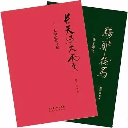 姜文的书法，功力深厚？他欠缺的恰是基本功 第13张