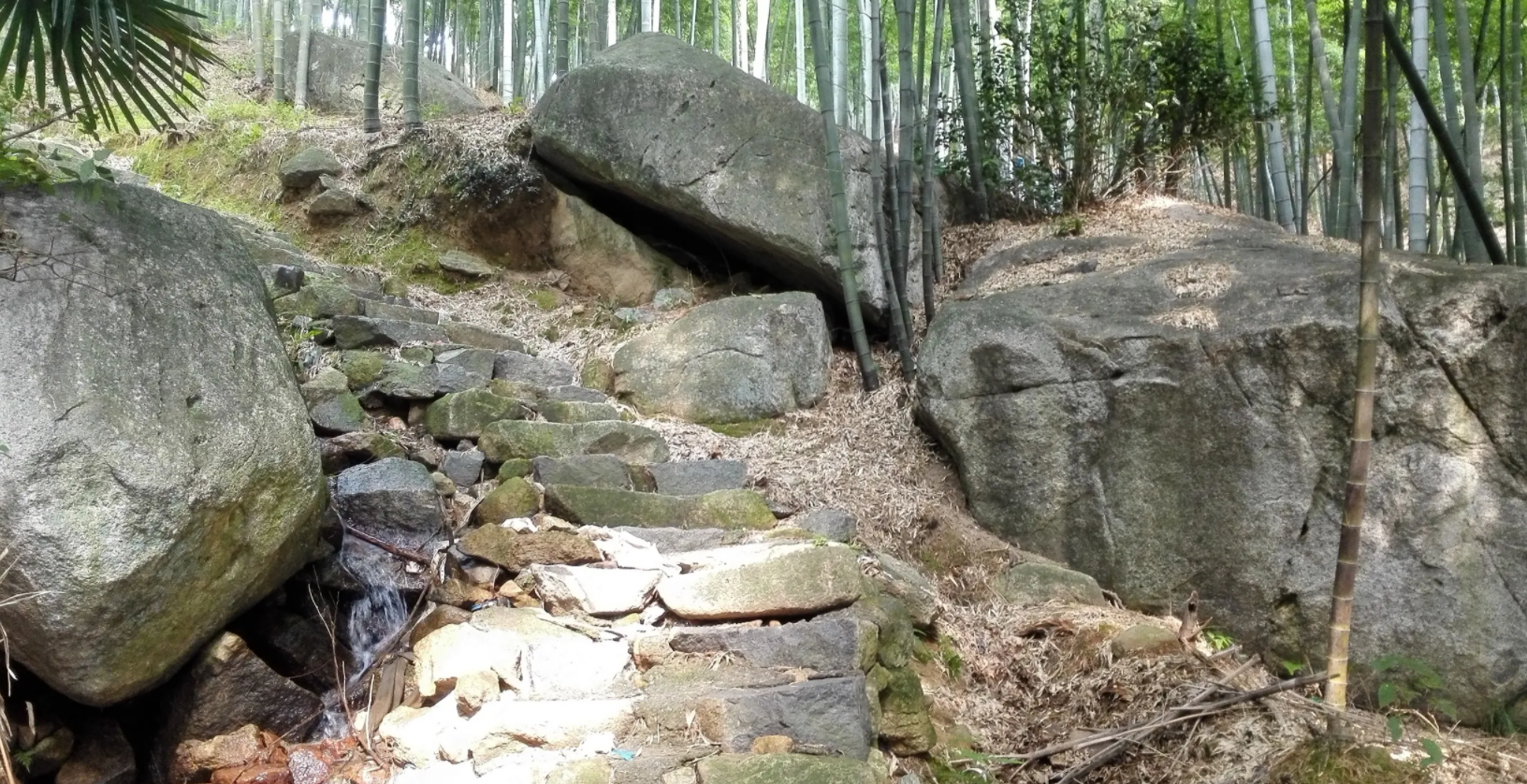 余姚旅游景点有什么（余姚10条风景优美的古道推荐） 第15张