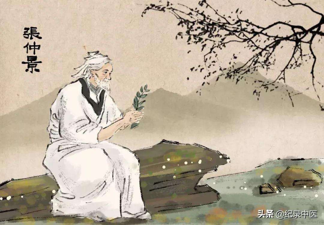 为什么是他？张仲景为什么会成为医圣？ 第1张