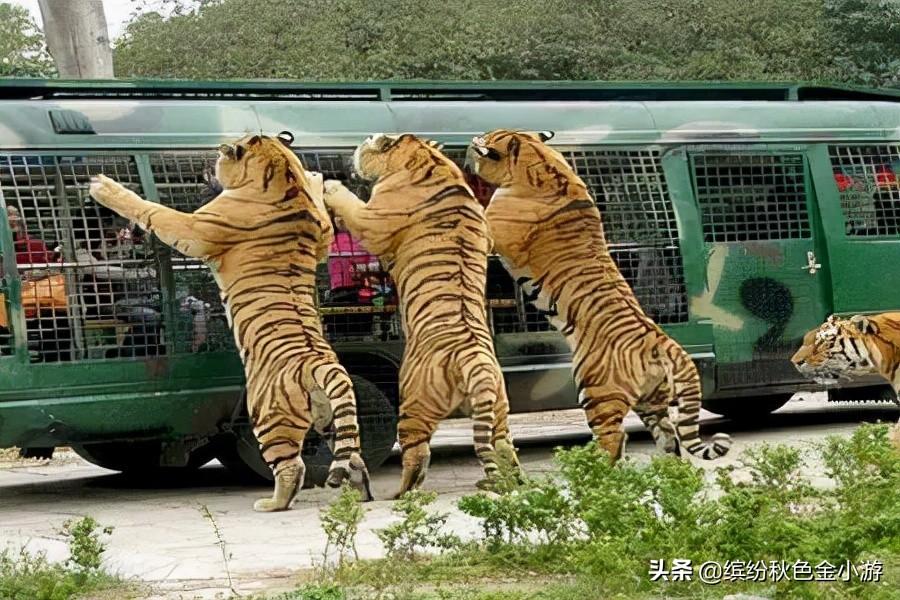 延庆旅游景点有什么好玩的 北京延庆8个著名的景点 第9张