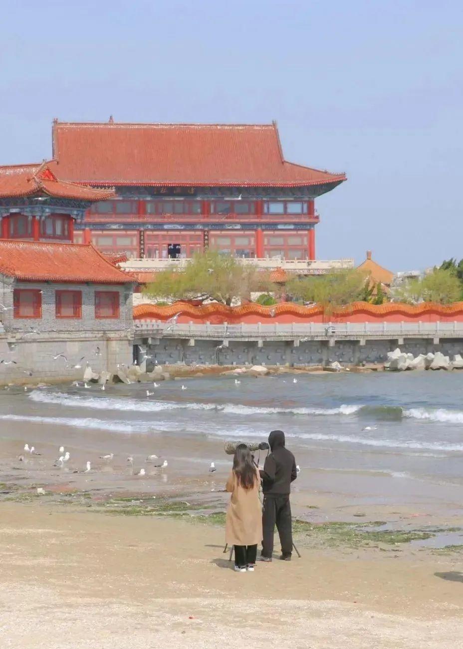 蓬莱旅游景点大全介绍（蓬莱6处美丽又精致的打卡地） 第9张