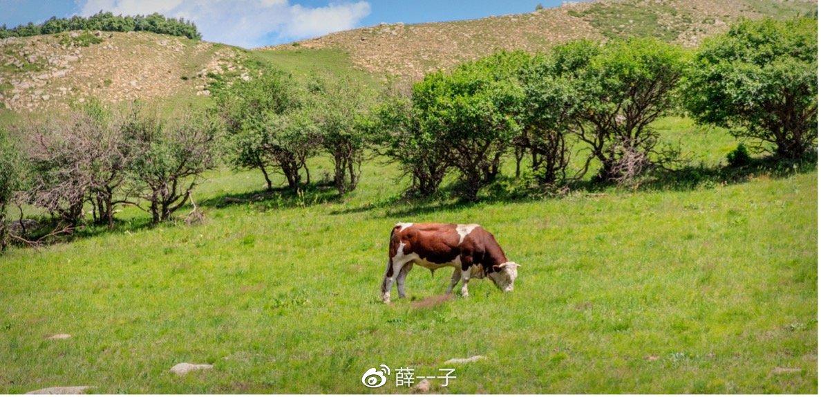 赤峰旅游攻略必玩的景点 赤峰旅行必打卡的经典景点 第13张