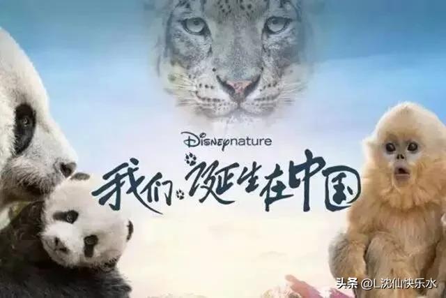 十部教科书级别的国产儿童电影 十部教育孩子的电影推荐 第1张