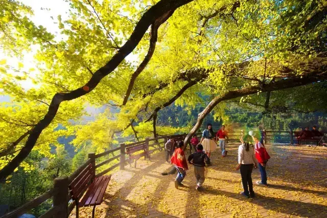 贵阳周边游玩景点推荐（贵阳旅游必去的9处古村古镇） 第3张