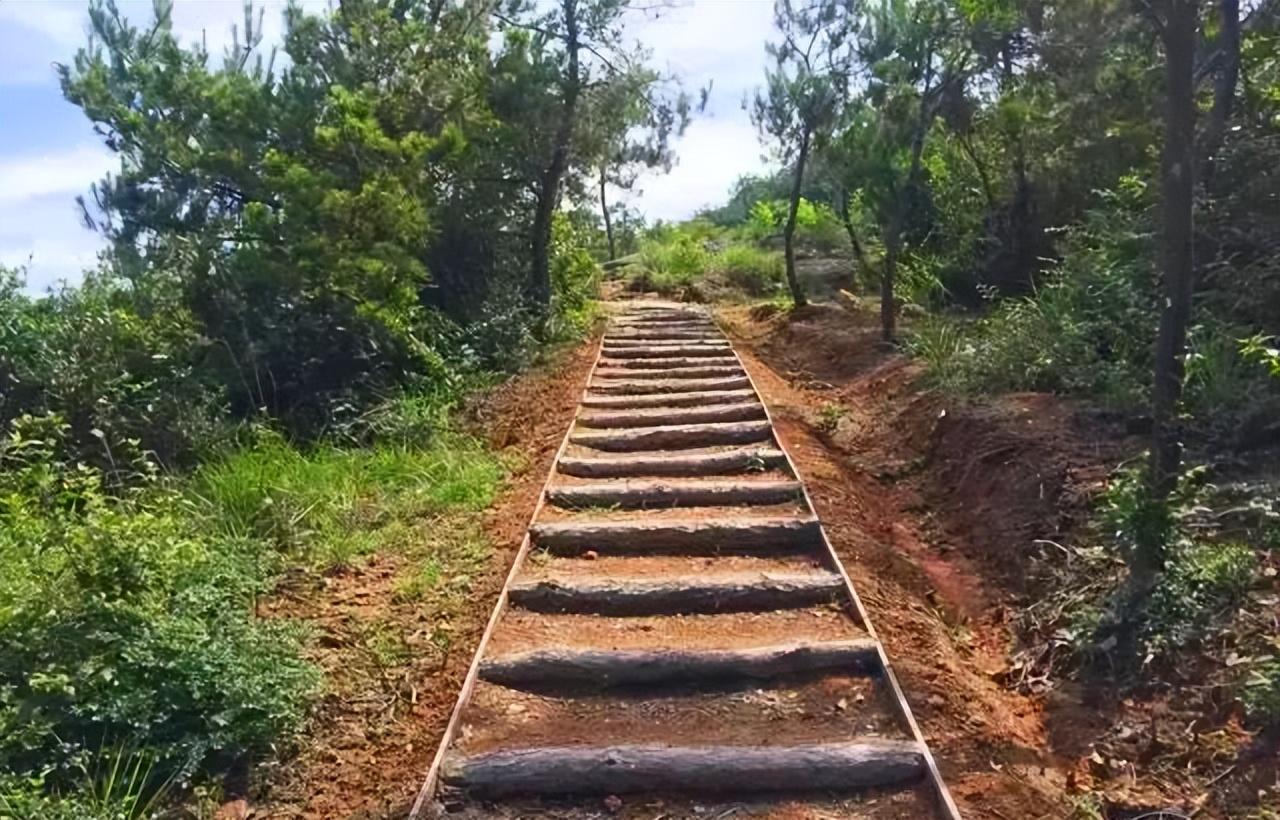 余姚旅游景点有什么（余姚10条风景优美的古道推荐） 第19张