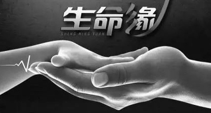 好看的医学纪录片排行榜 医学纪录片有哪些 第7张